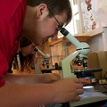Exploring the Microscopic World at the NYSCamp