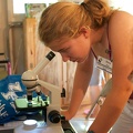 NYSCamp Delegate Explores the Microscopic World